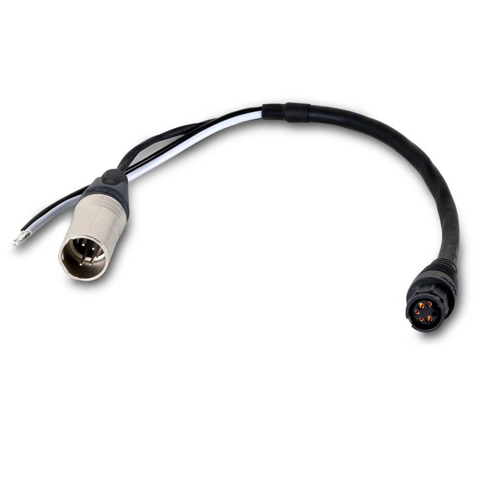 Martin Sceptron Câble adaptateur BBD XLR